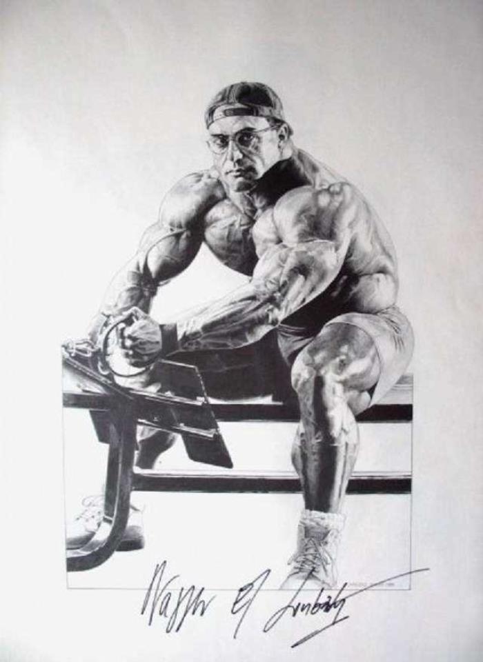 健美先生(韩国健美先生)