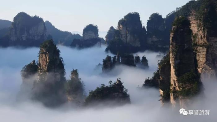  张家界导游向送平微信，一起领略张家界的神奇风光