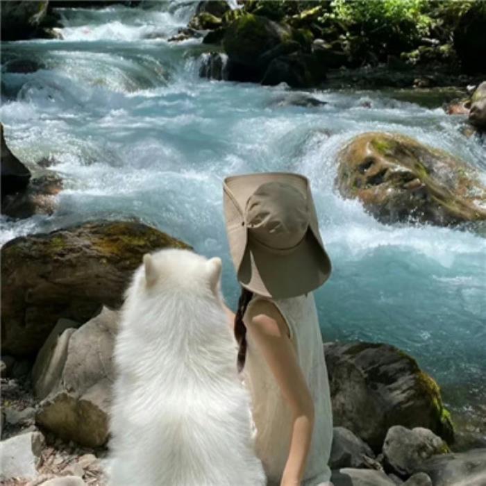  商务伴游的优势是为商务会议提供全方位支持