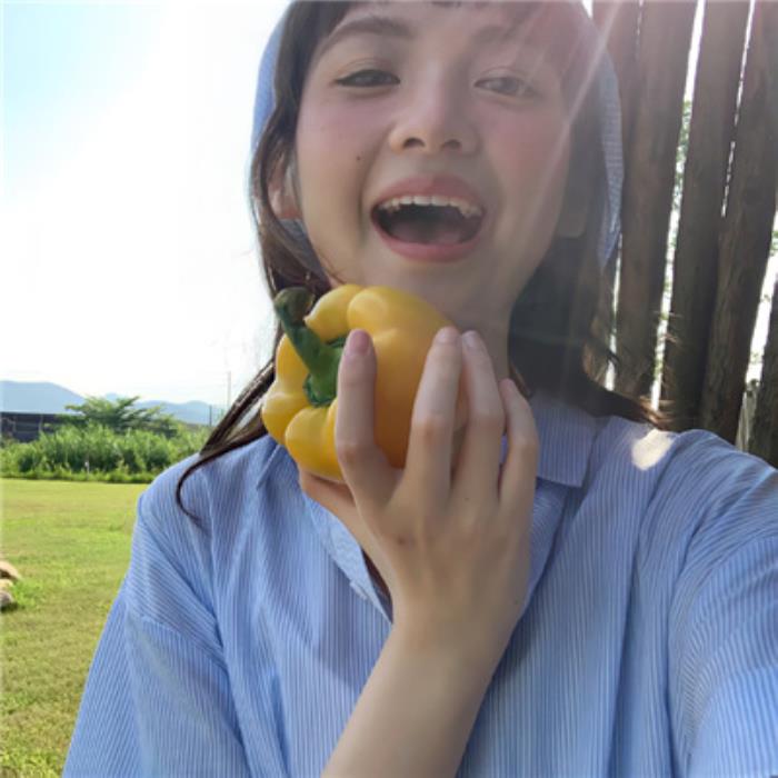  商务伴游服务中的注意事项与安全措施